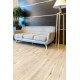 Кварцвиниловая плитка клеевая Alpine Floor Easy Line Дуб Ваниль ECO 3-4