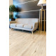 Кварцвиниловая плитка клеевая Alpine Floor Ultra Дуб Ваниль ECO 5-4