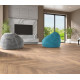 Каменно-полимерная плитка Alpine Floor PARQUET LIGHT ECO 13-2 Дуб ROYAL