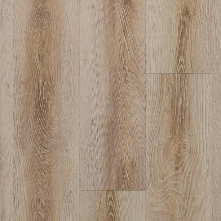 Ламинат Kastamonu SUNFLOOR 8/32 35 Вяз Тонга